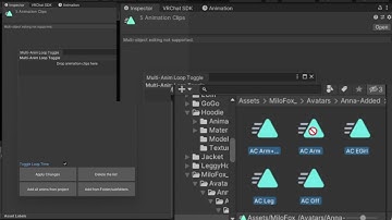 Multi Animation Loop Toggle Usage Display