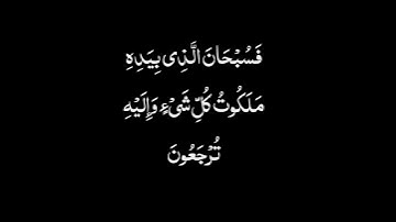 سورة يس [٨٢ - ٨٣] بصوت القارئ الشيخ ماهر المعيقلي