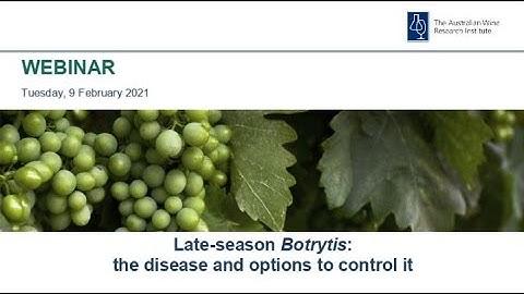 Late season Botrytis: the disease and options to control it
