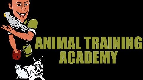 Clicker Training Fundamentals Intro (part 2/3).