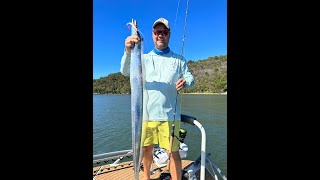 IFISHTV Hawkesbury River Hairtail on Soft plastics & Mulloway screenshot 3