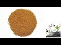 : طريقه زراعه البرسيم في مصرالجزء الاول 2016Cultivation method clover in Egypt