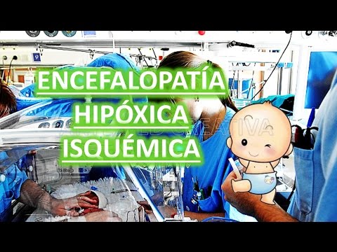 Vídeo: Hipóxia-isquemia Neonatal Em Ratos Provoca Resposta Neurotrófica Específica Da Região Na Microglia SVZ