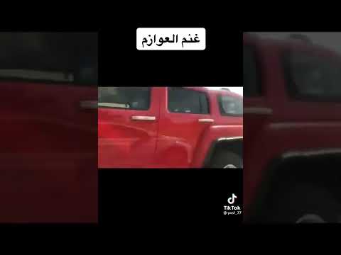 غنم قبيله العوازم العرب قبل التهجين كانت نجديه مع حدورهم الكويت والشرقيه هجنوها الى غنم عرب