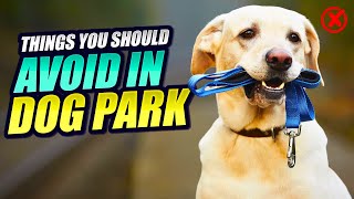 6 Essential Etiquette Rules for the Dog Park by Makoree Pet Corner 348 views 6 months ago 6 minutes, 16 seconds