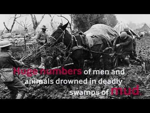 Video: Hvem vandt det tredje slag i ypres?