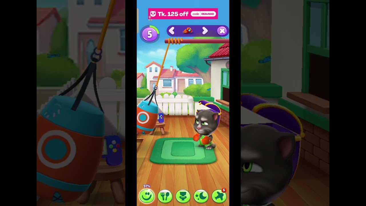 😆cat fighting😆