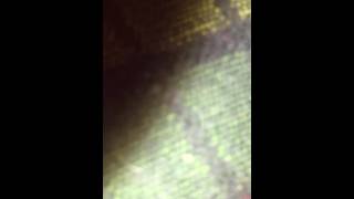 Rocket Kirchner - Pushing the River
