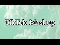 TikTok Mashup 2020 (not clean)