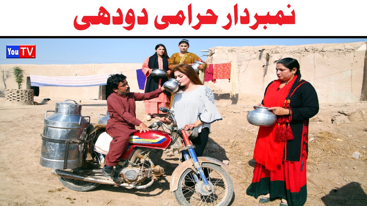 Number daar Harami Dodhi New Funny Video | Most Comedy Funny Video | You Tv Hd 2025