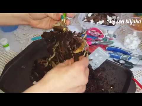 Video: 3 načina za uklanjanje spržene kore u tavi