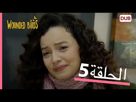 الطيور الجريحة الحلقة الكاملة 5 مدبلج عربي