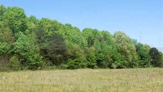 Lots And Land for sale - 1828 OLD MOUNTAIN Road, Statesville, NC 28677