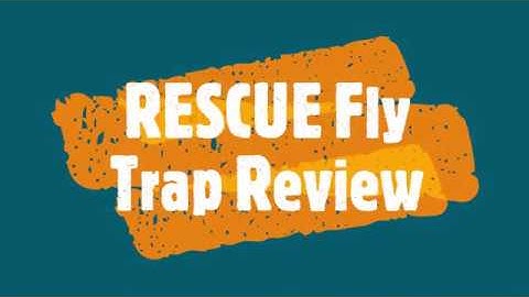 The Rescue Fly Trap - Traps and kill flies!