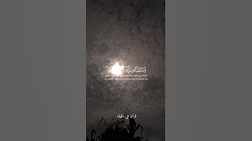قران كريم ارح قلبك وسمعك #قران_في_دقيقة #quran #سلمان_العتيبي #المصحف #قرآن @قران_في_دقيقة