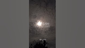 قران كريم ارح قلبك وسمعك #قران_في_دقيقة #quran #سلمان_العتيبي #المصحف #قرآن @قران_في_دقيقة