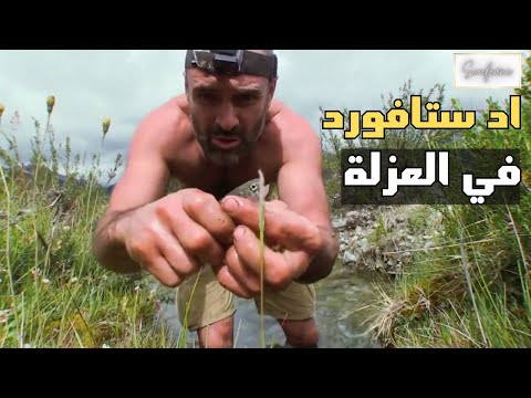 أد ستافورد في العزلة باتاغونيا       02 4 