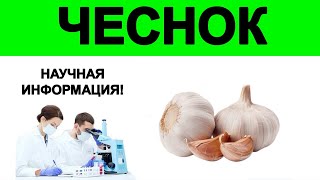 Проверенная научная информация о пользе и вреде чеснока!
