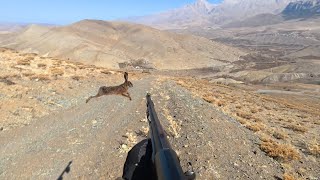 Kekli̇k Ve Tavşan Avlarim , Güzel Bi̇r Av Günüydü , İyi̇ Seyi̇rler