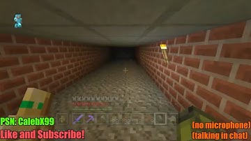 Minecraft PS3 Edition Let