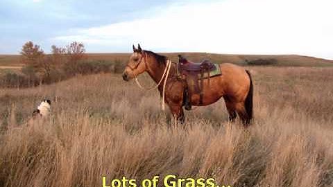 Grazing with Purpose