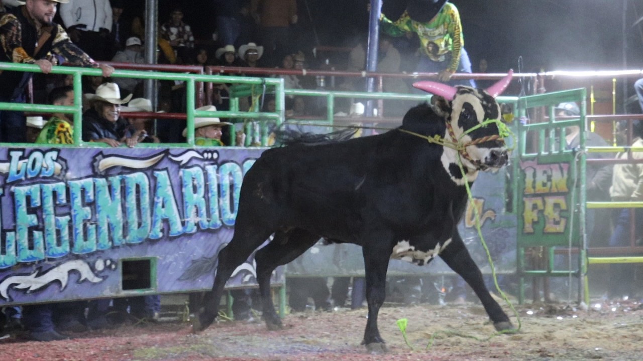🔴 Jaripeo En Vivo 🔴 PAREO MICHOACÁN Rancho la Revoluzión vs Intocables 16 febrero 2026