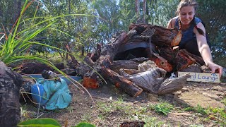 Building My Own Lizard Lounge (Inspired By Gardening Australia)