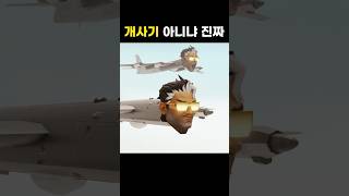 봄바르딜로 크로코딜로 #memes