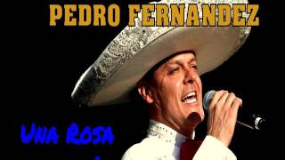 Watch Pedro Fernandez Una Rosa Para Ti video