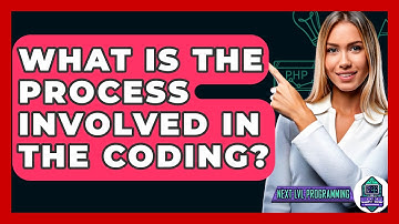 What Is The Process Involved In The Coding? - Next LVL Programming
