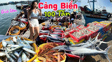 Kinh khủng hàng 100 tấn Cá Trích, Cá Thu, Cá Cờ  cảng An Thới lớn nhất Phú Quốc