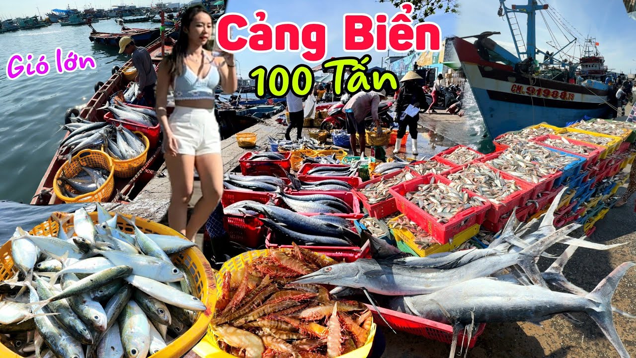 Kinh khủng hàng 100 tấn Cá Trích, Cá Thu, Cá Cờ  cảng An Thới lớn nhất Phú Quốc