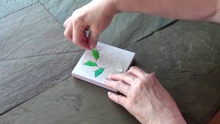 Information New Artsi2 Basic Video Guide