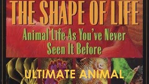 The Shape of Life - 7 of 8: Ultimate Animal (Echinoderms)