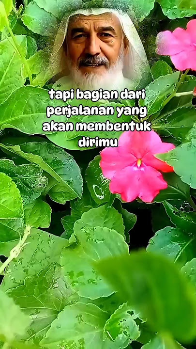 Download lagu Kadang harapan tak sesuai dengan keinginan #quotes #motivasihiduplebihbaik #katabijakkehidupan