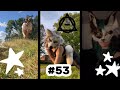 Therianquadrobics tiktok compilation53