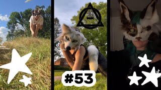Therian/quadrobics TikTok compilation!★||#53
