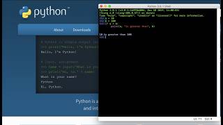 Python Basics: Print Statements & Variables for Beginners