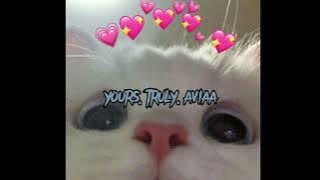 Download lagu American Authors - Best day of my life ( sped up )