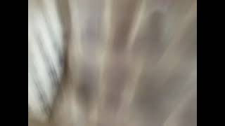 79771142015  59B426E6 0020 4F23 B1D3 8FCC74E21B8B