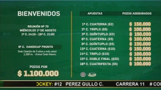 Hipódromo San Isidro Live Stream