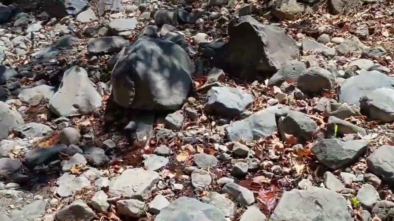  Una caminata ala agua caliente 