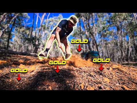 IRL Metal Detecting for Gold | Gold Monster 2000 on Specimens