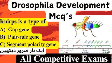 Drosophila Development CSIR NET previous year mcq’s 1b | drosophiladevelopment | drosophila |