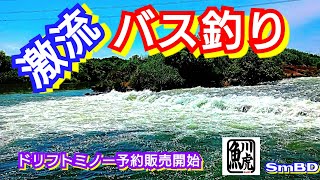 バス引退32個セット 川バス　リバースモール mqdefault.jpg