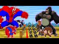 SPIDER DINOSAURS, GODZILLA VS SCAR KING, APES: Godzilla x Kong: The New Empire 2024 Cartoon