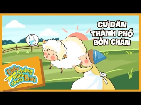 Cư dân thành phố bốn chân - Điều chúng ta chưa biết