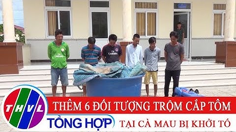Thêm 6 đối tượng trộm cắp tôm tại Cà Mau bị khởi tố