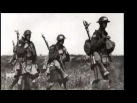 Eric Bogle - Green Fields of France (english-italian subtitles)