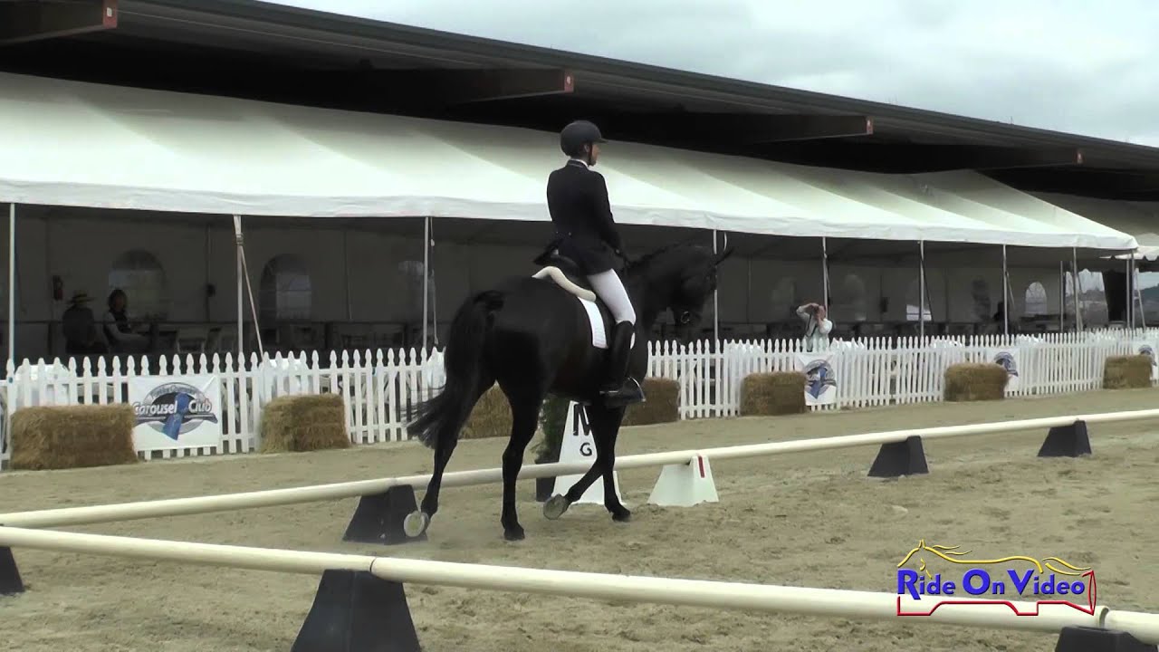 Woodside Preliminary Challenge May 2015 - DRESSAGE COVERAGE